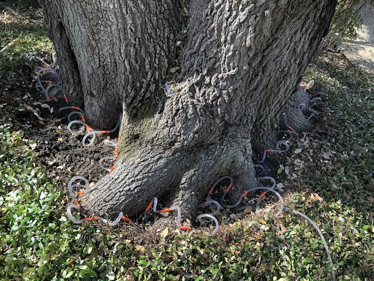 Detailed Shrub and Hedge Trimming job site in Harrold